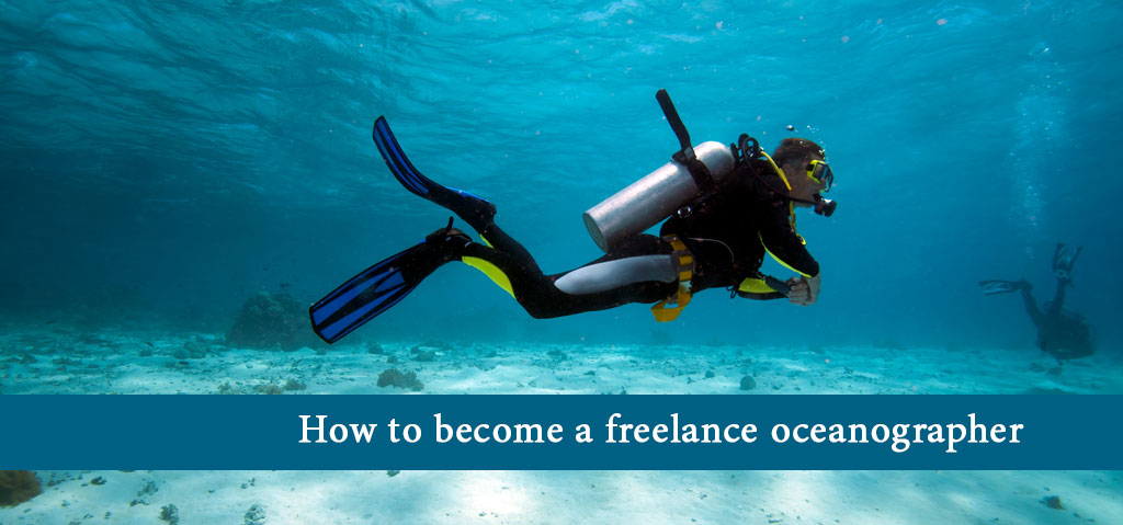 How to become a freelance oceanographer