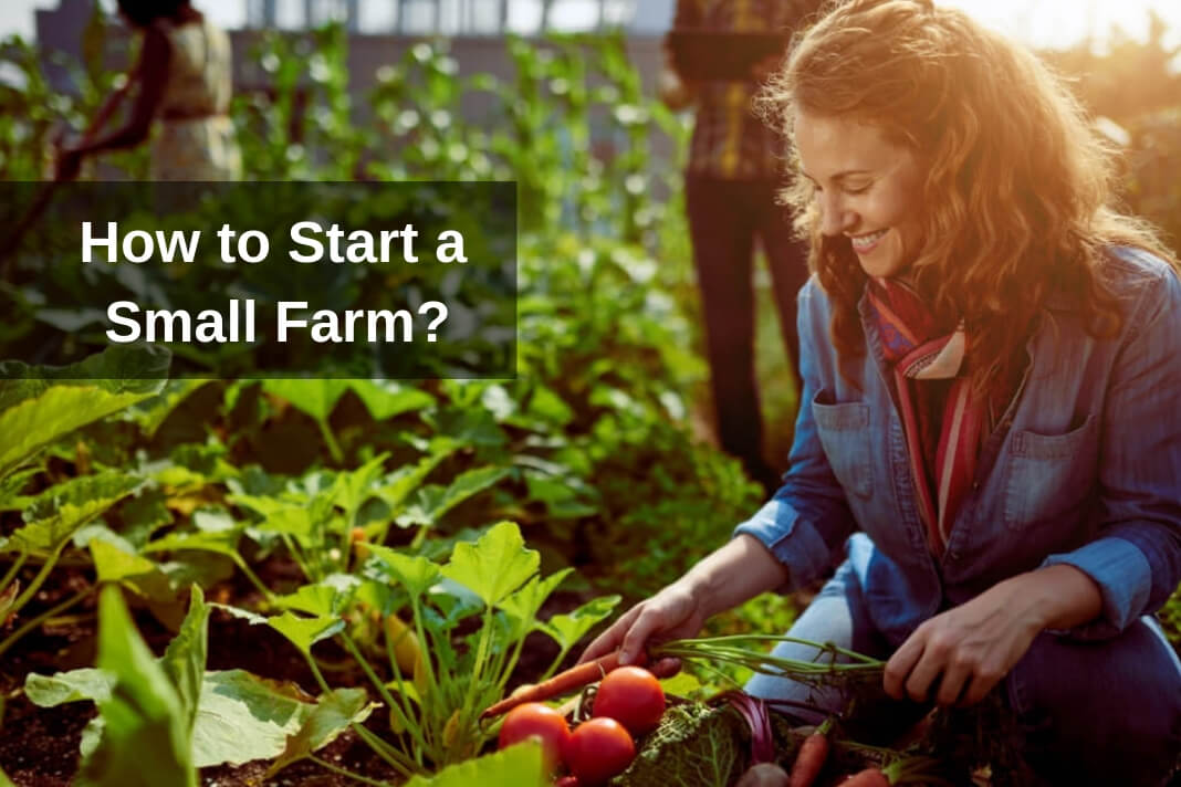 Start a Small Farm in your country