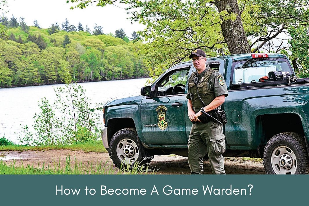 how to become a game warden