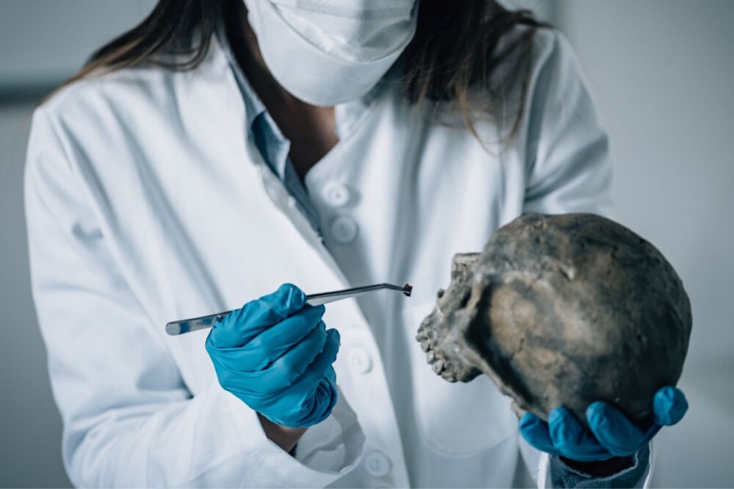 How to Become a Forensic Scientist | Careerlancer