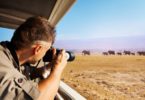 how to become a wildlife photographer